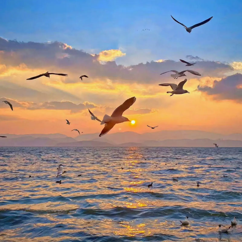 ���Ե�������������Щ�ȽϺ���ĵط���